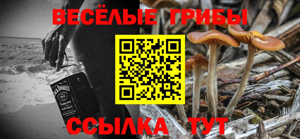Курск  Псилоцибиновые грибы прущие грибы  Вход с VPN 